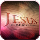 Daily Verse APK