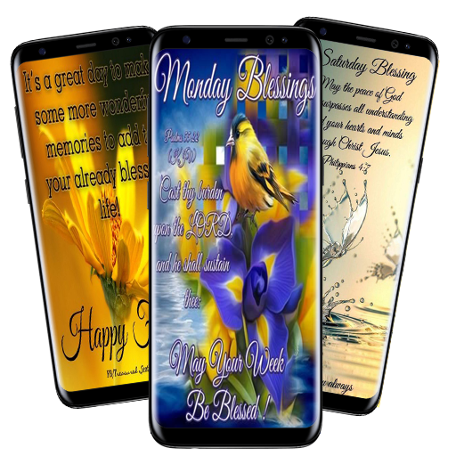 Everyday Blessing Quotes