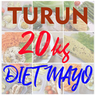 Diet Mayo icon