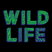 ”WILD LIFE Festival