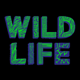 WILD LIFE Festival ikona