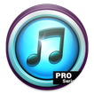 Mp3 Downloader Pro