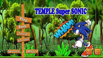 Temple Super Sonic Run screenshot 1