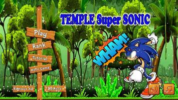 Temple Super Sonic Run تصوير الشاشة 1