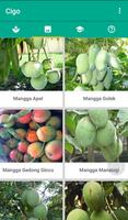 Classification Of Mango (CIGO) capture d'écran 2