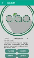 Classification Of Mango (CIGO) capture d'écran 3