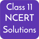Class 11 NCERT Solutions icône