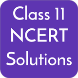 Class 11 NCERT Solutions ícone