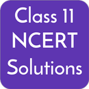 Class 11 NCERT Solutions APK