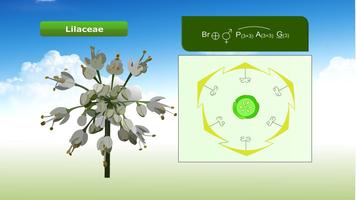 Plant Families स्क्रीनशॉट 2