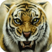 Tiger live wallpaper