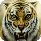 Tiger-icoon