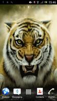 Tiger ポスター