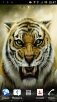 Tiger Ekran Görüntüsü 1