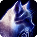 APK Sparkling cat live wallpaper