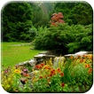 Garden HD Wallpapers