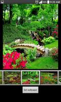 Garden Live HD Wallpapers Affiche