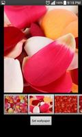 Rose Petals HD Wallpaper پوسٹر