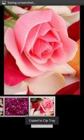 Rose Petals HD Wallpaper اسکرین شاٹ 2