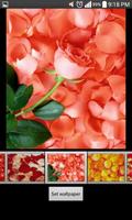 Rose Petals HD Wallpaper اسکرین شاٹ 3