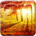 Sunrise HD Wallpaper آئیکن