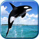 Whale Live HD Wallpaper APK