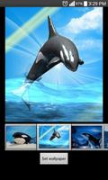 Whale Live Wallpaper HD imagem de tela 3