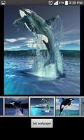 Whale Live Wallpaper HD imagem de tela 2