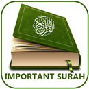 Important Surah Al Quran + MP3 APK