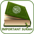 Important Surah Al Quran icon