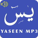 Surah Yaseen Audio MP3 Offline APK