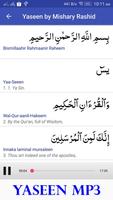 Surah Yaseen Audio MP3 Offline screenshot 1