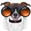 Droid Track APK