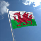 National Anthem of Wales أيقونة