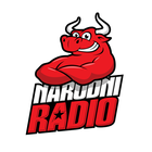 Narodni radio icon