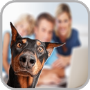 Dog Photobomb Photo Maker APK