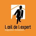 L'Oeil de l'Expert