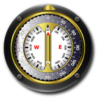 Compass icon