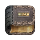 Webster's Bible APK