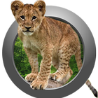Animal Sounds & Ringtones-icoon