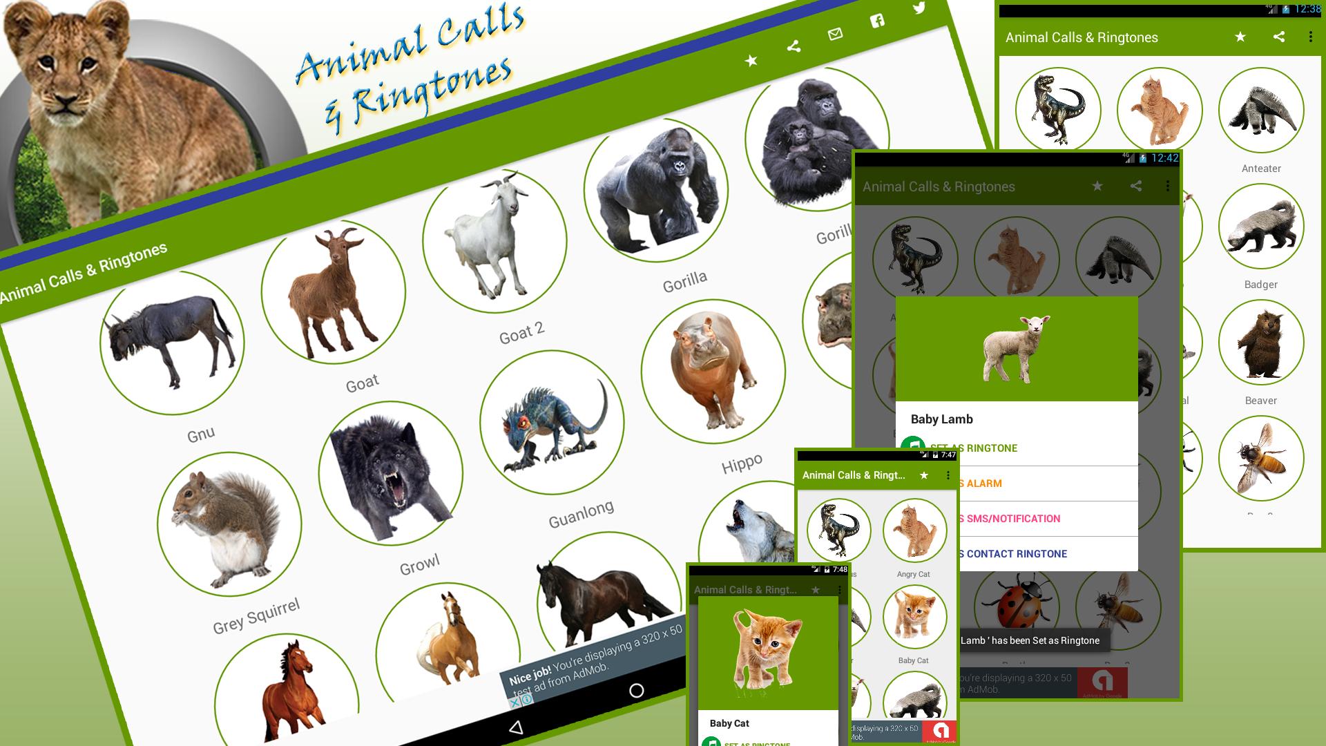 Animal Sounds & Ringtones APK for Android Download Animal Sounds & Ringtones APK for Android Download