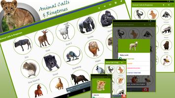 Animal Sounds & Ringtones Affiche