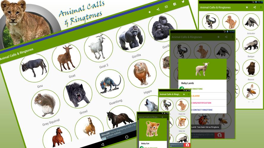 Animal Sounds & Ringtones APK for Android Download