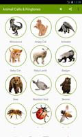 Animal Sounds & Ringtones screenshot 2