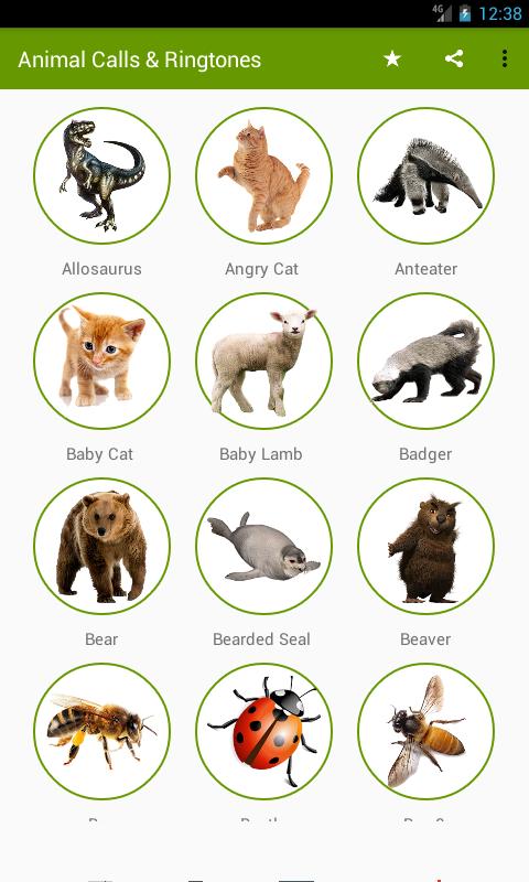 Animal Sounds & Ringtones APK for Android Download Animal Sounds & Ringtones APK for Android Download