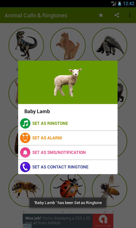 Animal Sounds & Ringtones APK for Android Download Animal Sounds & Ringtones APK for Android Download