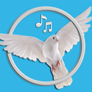 APK Bird Sounds & Ringtones