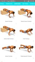 3D Push Ups Home Workout 截圖 1