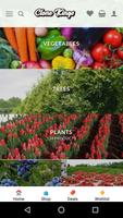 Clone Kings - Buy Live Plants, Seeds, Vegetables imagem de tela 1