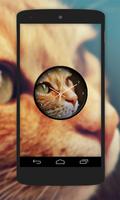Cat Clock Live Wallpaper 海报